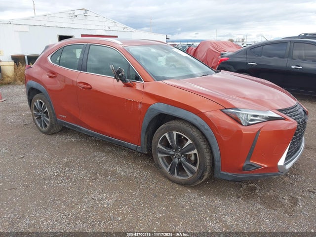 2019 LEXUS UX 250H 
