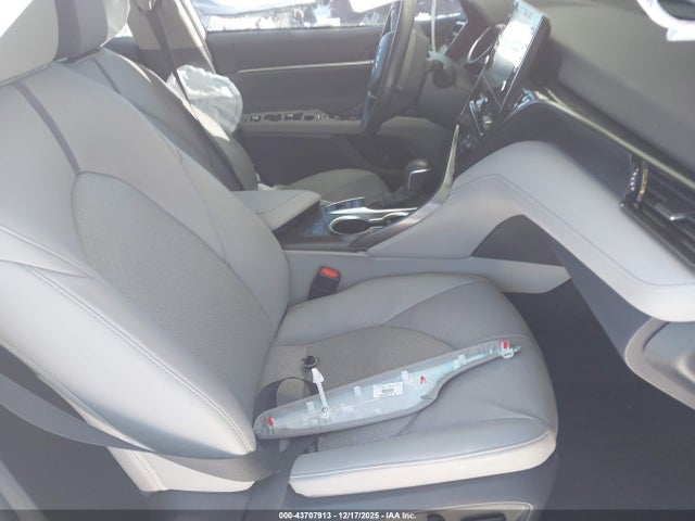 2024 TOYOTA CAMRY XLE