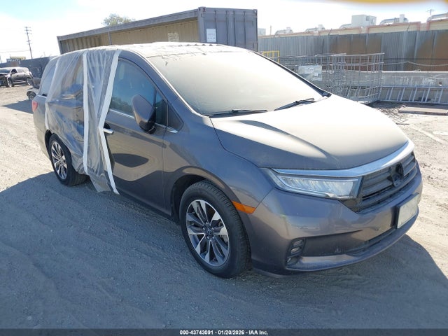 2023 HONDA ODYSSEY EX-L