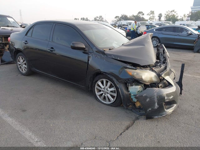 2010 TOYOTA COROLLA LE
