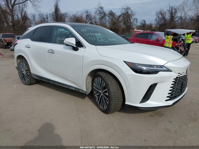 2025 LEXUS RX PREMIUM PLUS