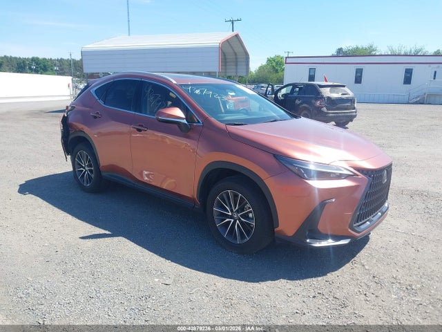 2025 LEXUS NX PREMIUM