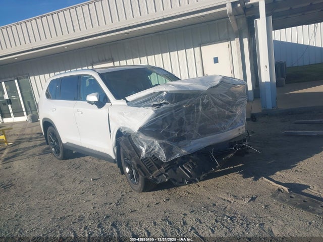 2025 TOYOTA GRAND HIGH PLATINUM