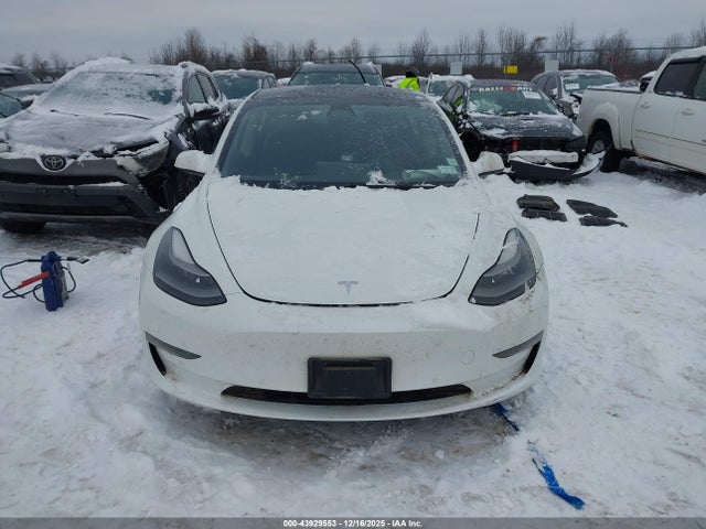 2021 Tesla MODEL 3 STANDARD RANGE PLUS REAR-WHEEL DRIVE — миниатюра 12