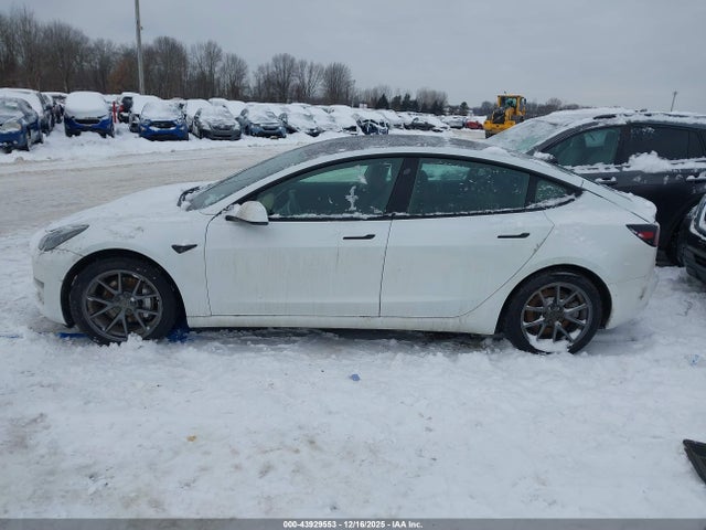 2021 Tesla MODEL 3 STANDARD RANGE PLUS REAR-WHEEL DRIVE — миниатюра 14