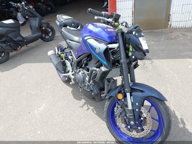 2025 YAMAHA MTN320 A
