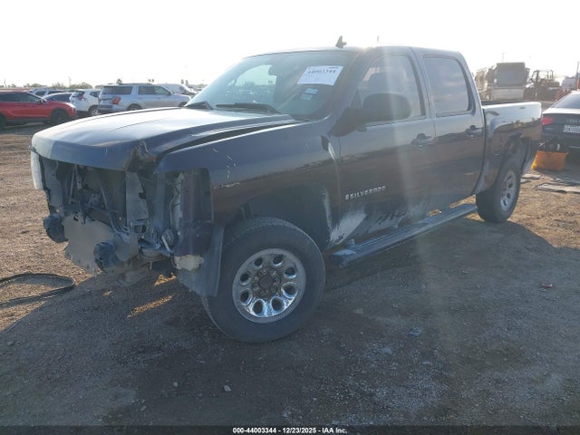 CHEVROLET SILVERADO 1500 WORK TRUCK - 2