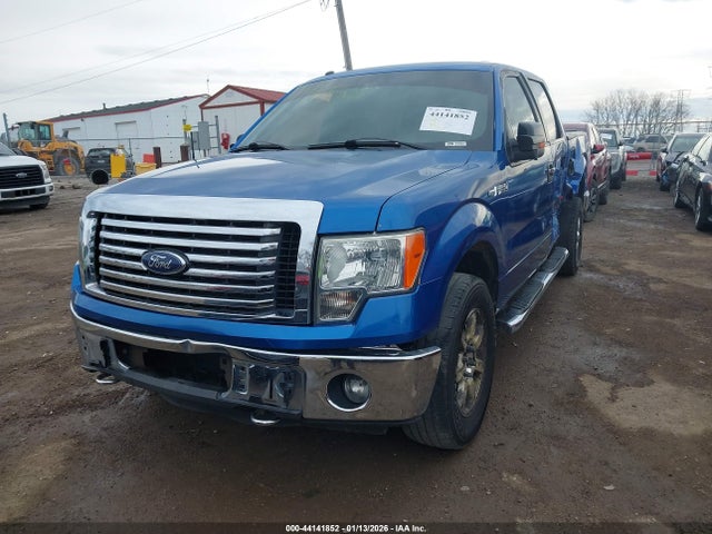 FORD F-150 XLT - 2