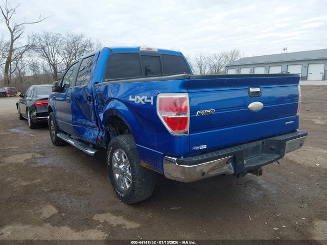 FORD F-150 XLT - 3