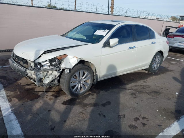 HONDA ACCORD 3.5 EX-L - 2