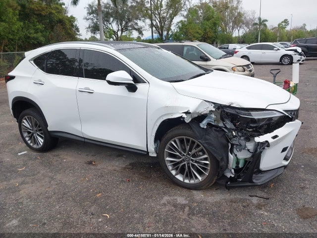 2026 LEXUS NX LUXURY