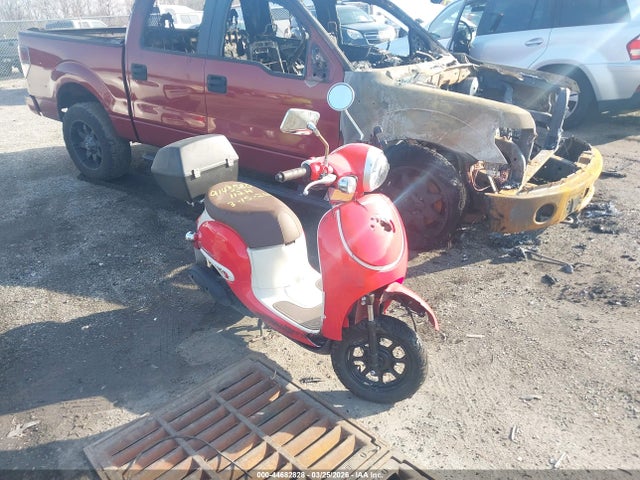 2025 HONDA NCW50 