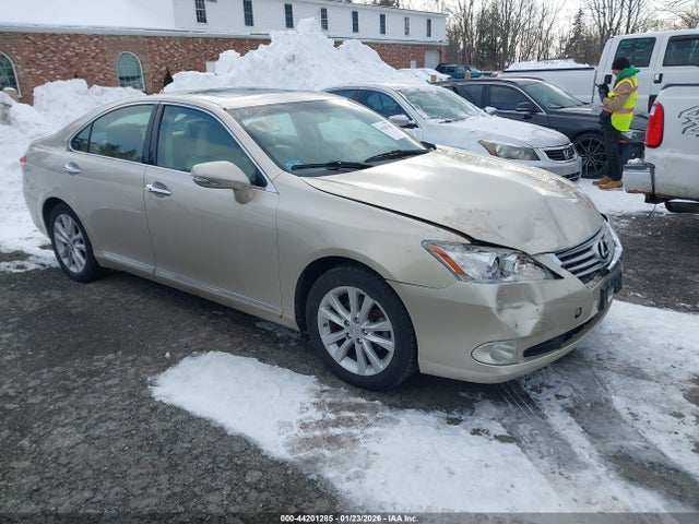 2010 LEXUS ES 