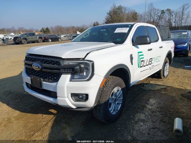 صورة 2 لـ 2024 FORD RANGER XL