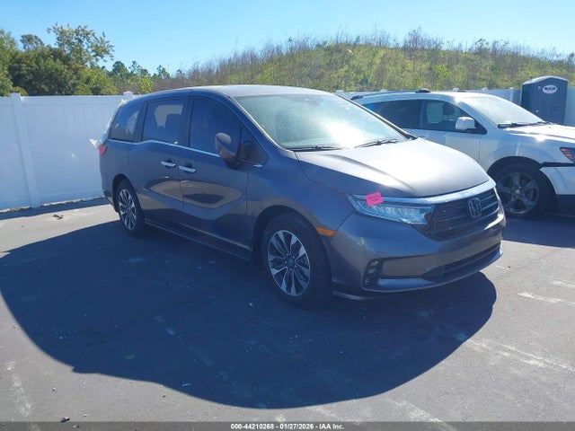 2024 HONDA ODYSSEY EX-L
