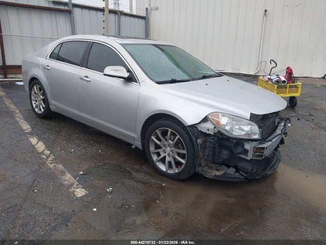 CHEVROLET MALIBU 1LZ - 1