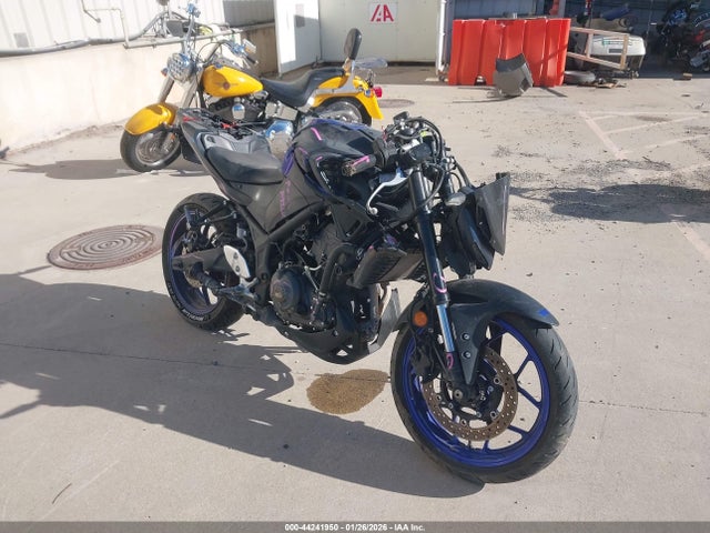 2025 YAMAHA MTN320 A