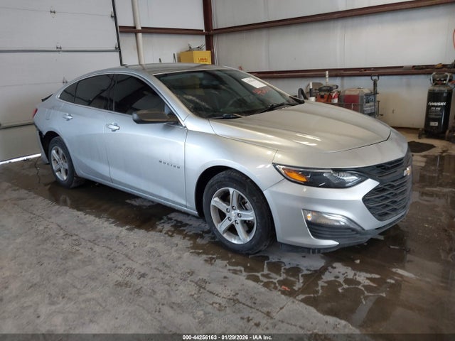 CHEVROLET MALIBU FWD 1FL - 1