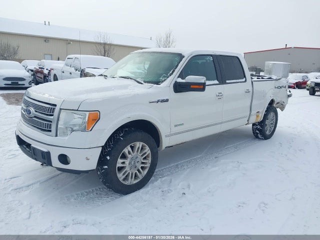 2011 FORD F-150 PLATINUM 照片 2