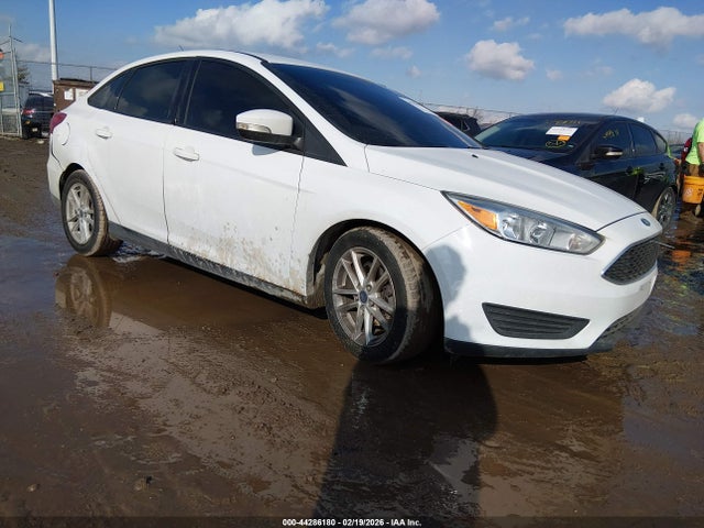 FORD FOCUS SE - 1
