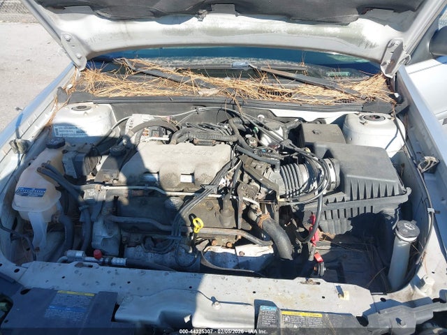 CHEVROLET MALIBU - 10