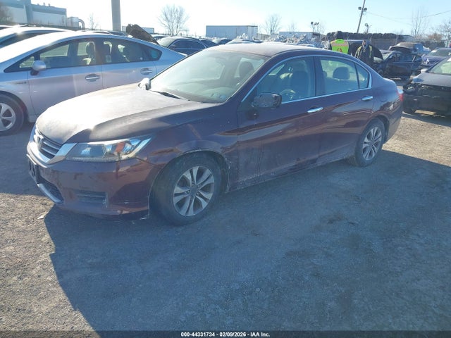 HONDA ACCORD LX - 2
