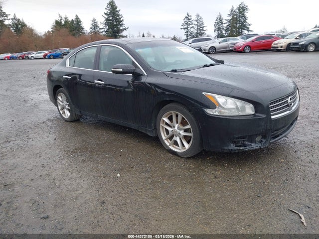 2009 NISSAN MAXIMA 3.5 SV