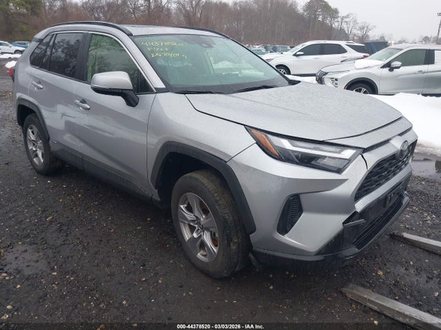 2025 TOYOTA RAV4 XLE