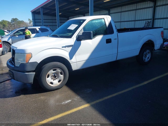 FORD F-150 STX/XL/XLT - 2