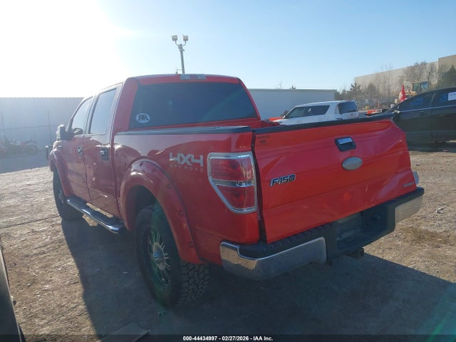 FORD F-150 XLT - 3
