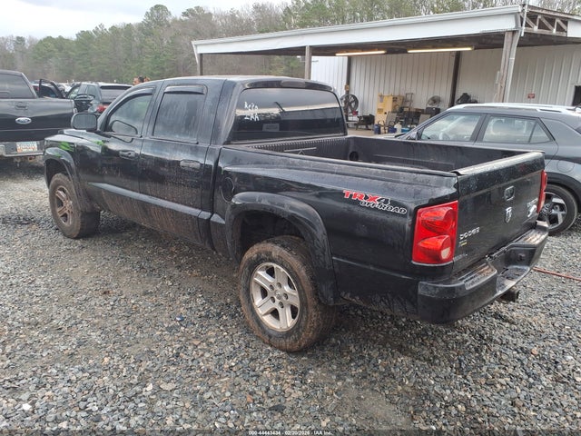 DODGE DAKOTA BIGHORN/LONESTAR - 3