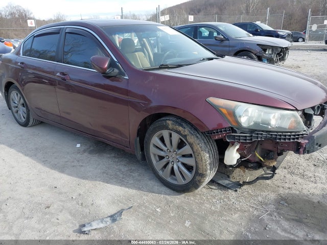 2011 HONDA ACCORD 2.4 EX