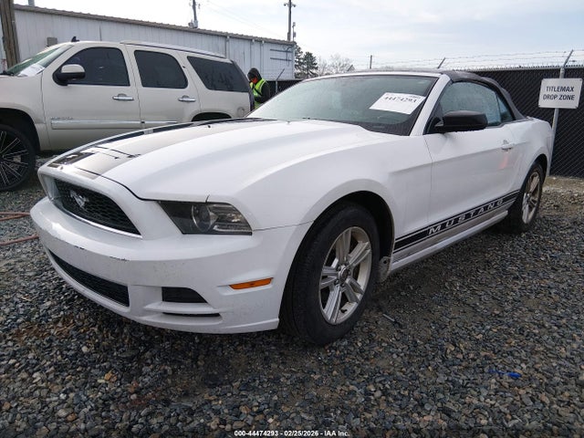 FORD MUSTANG V6 - 2