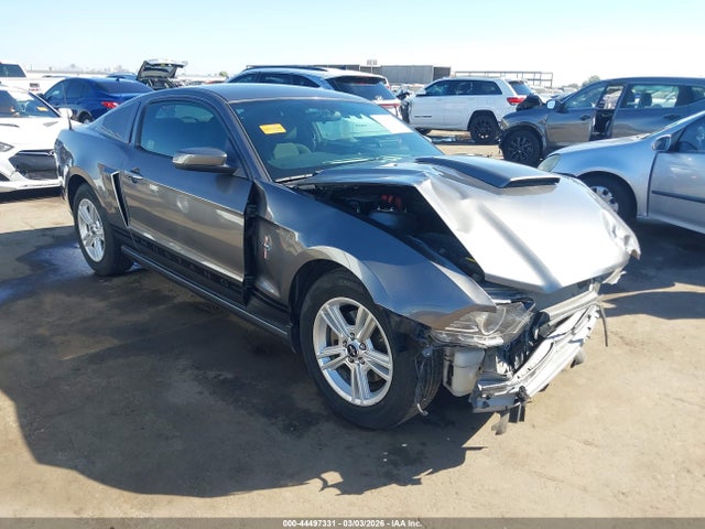 FORD MUSTANG V6 - 1
