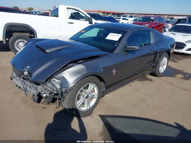 FORD MUSTANG V6 - 2