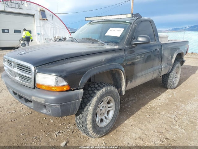 DODGE DAKOTA - 2