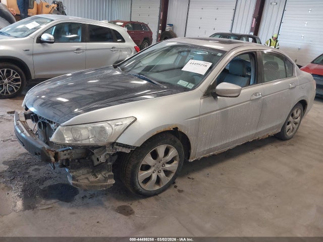 HONDA ACCORD 3.5 EX-L - 2