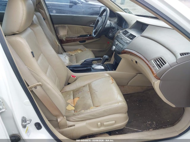 HONDA ACCORD 3.5 EX-L - 5