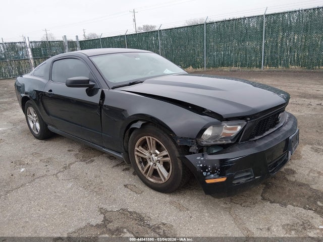 FORD MUSTANG V6 - 1