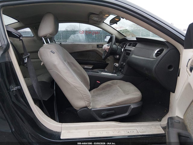 FORD MUSTANG V6 - 5
