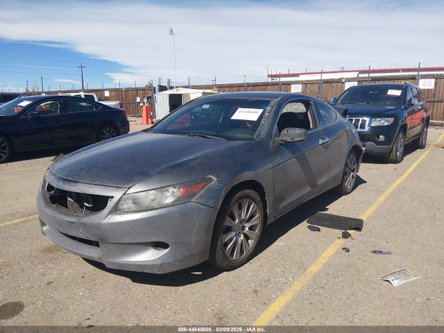 HONDA ACCORD 3.5 EX-L - 2