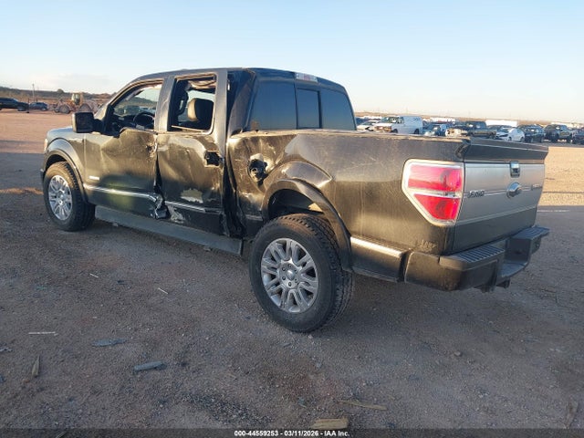 FORD F-150 PLATINUM - 3