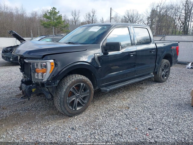 صورة 2 لـ 2021 FORD F-150 XLT
