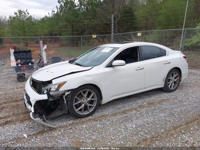 2011 Nissan MAXIMA 3.5 SV — фото 2