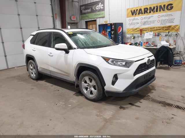 2019 TOYOTA RAV4 XLE