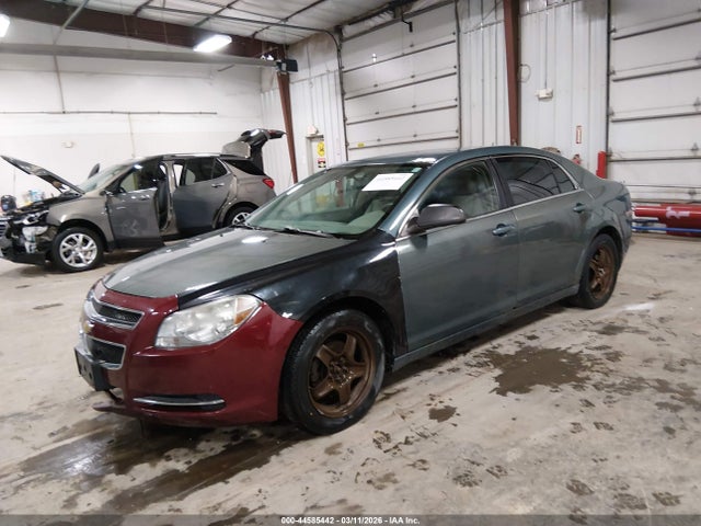 CHEVROLET MALIBU - 2