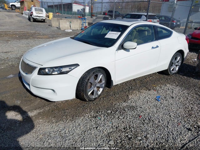 HONDA ACCORD 3.5 EX-L - 2