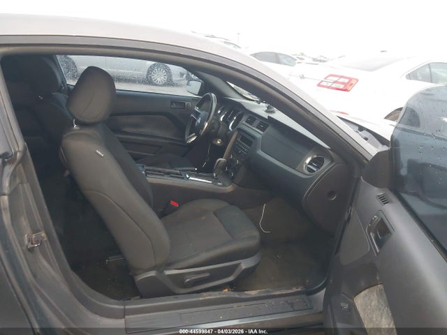 FORD MUSTANG V6 - 5