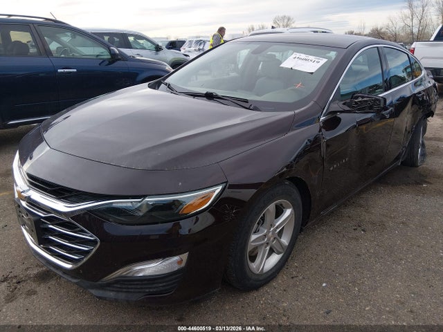 CHEVROLET MALIBU FWD 1FL - 2