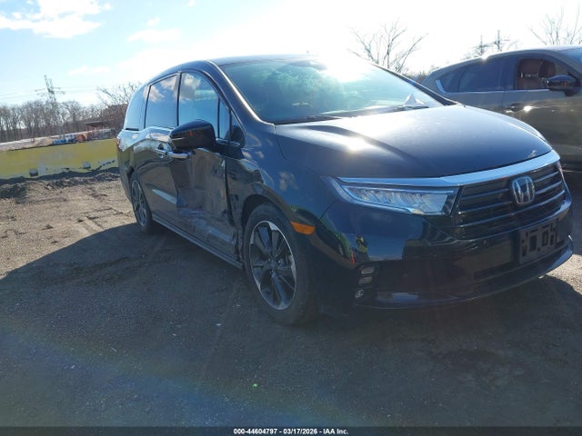 2024 HONDA ODYSSEY ELITE